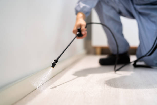 Licensed Termite Control service in Clear Lake, WI - Nex Pest Control