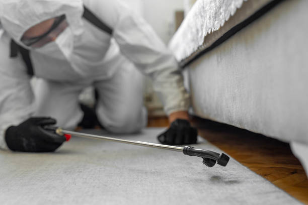 Professional Termite Control technician working in Clear Lake, WI