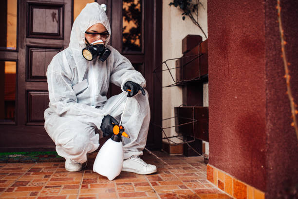 Reliable Termite Control contractor in Clear Lake, WI by Nex Pest Control