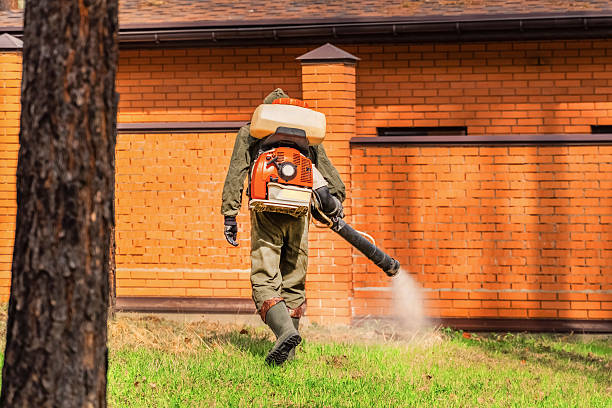 Top rated local Termite Control specialists in Clear Lake, WI